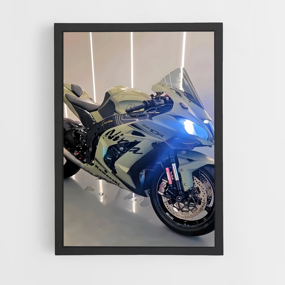 Poster Ninja En Garde (vue 2)